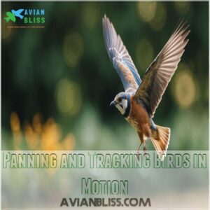 Panning and Tracking Birds in Motion