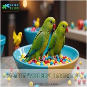 Parakeet Water Bowl Maintenance