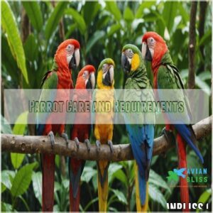 Parrot Care and Requirements