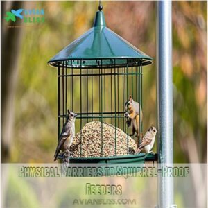 Physical Barriers to Squirrel-Proof Feeders