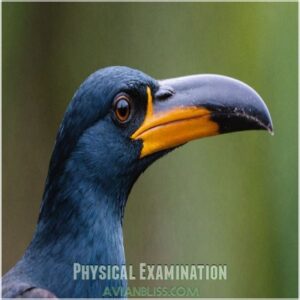 Physical Examination