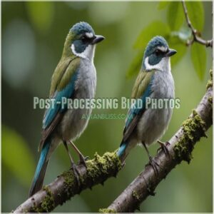 Post-Processing Bird Photos