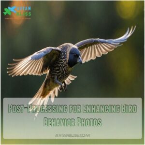 Post-Processing for Enhancing Bird Behavior Photos