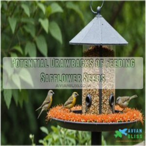 Potential Drawbacks of Feeding Safflower Seeds