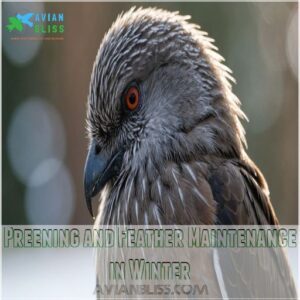 Preening and Feather Maintenance in Winter