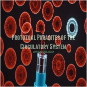 Protozoal Parasites of The Circulatory System