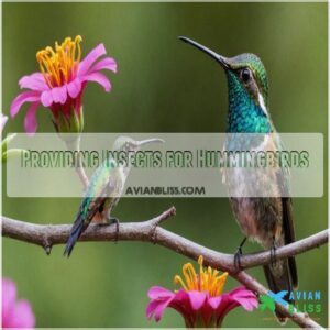 Providing Insects for Hummingbirds