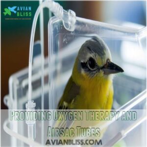 Providing Oxygen Therapy and Airsac Tubes