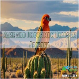 Rare and Uncommon Birds in Arizona