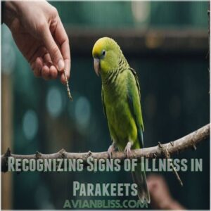 Recognizing Signs of Illness in Parakeets