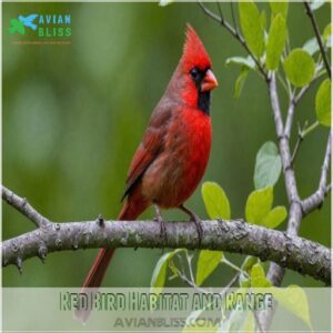 Red Bird Habitat and Range