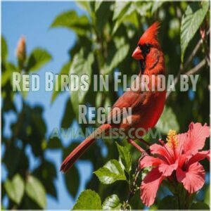 Red Birds in Florida by Region