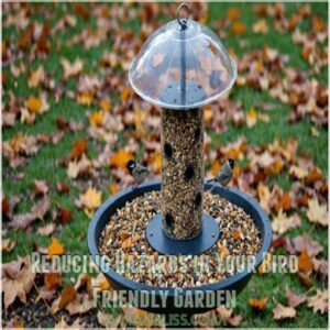 Reducing Hazards in Your Bird Friendly Garden