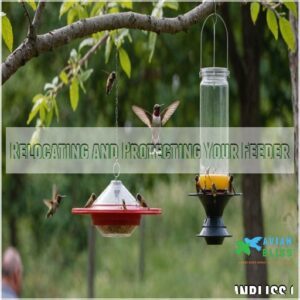 Relocating and Protecting Your Feeder