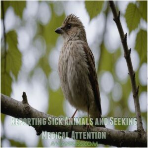 Reporting Sick Animals and Seeking Medical Attention