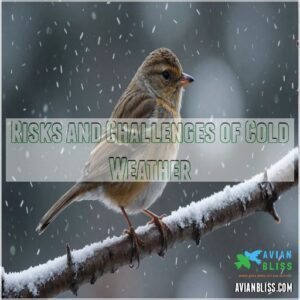 Risks and Challenges of Cold Weather