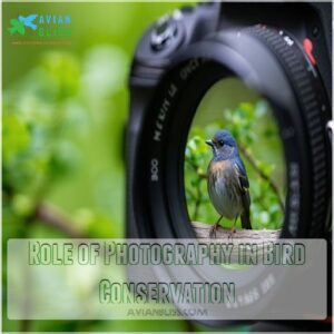 Role of Photography in Bird Conservation