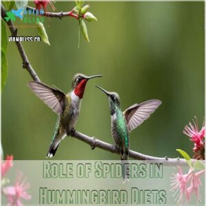 Role of Spiders in Hummingbird Diets