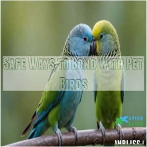 Safe Ways to Bond With Pet Birds