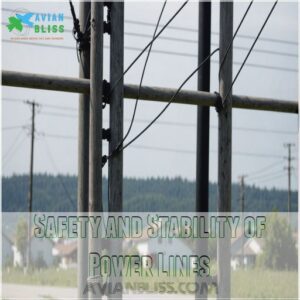 Safety and Stability of Power Lines