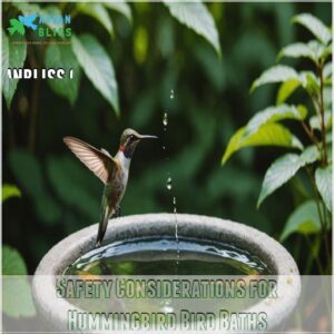 Safety Considerations for Hummingbird Bird Baths