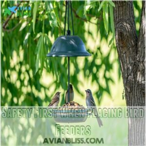 Safety First When Placing Bird Feeders