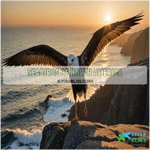 Seabirds of North America