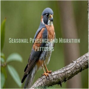 Seasonal Presence and Migration Patterns