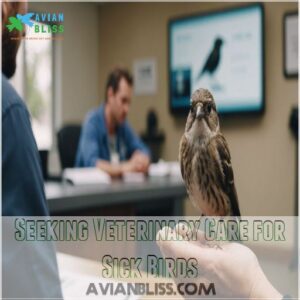 Seeking Veterinary Care for Sick Birds