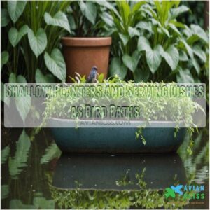 Shallow Planters and Serving Dishes as Bird Baths