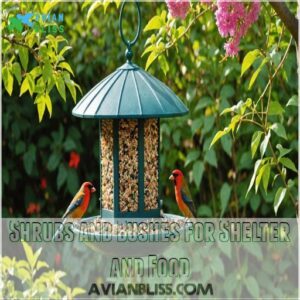 Shrubs and Bushes for Shelter and Food