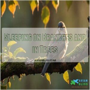 Sleeping on Branches and in Trees