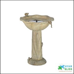 SmartSolar 20633R01 Acadia Solar Birdbath,