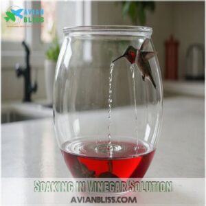 Soaking in Vinegar Solution