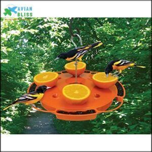 Songbird Essentials Ultimate Oriole Feeder B00BH94QZ8