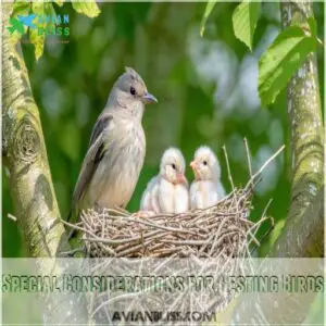 Special Considerations for Nesting Birds