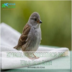 Special Considerations for Wild Bird Care