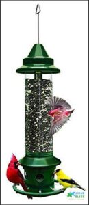 Squirrel Buster Plus Squirrel-proof Bird