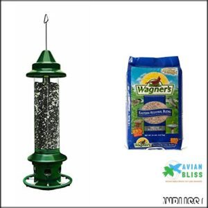 Squirrel Buster Plus Squirrel-Proof Bird