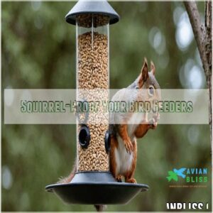 Squirrel-Proof Your Bird Feeders