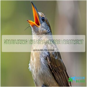 Stabilizing The Bird Before Treatment