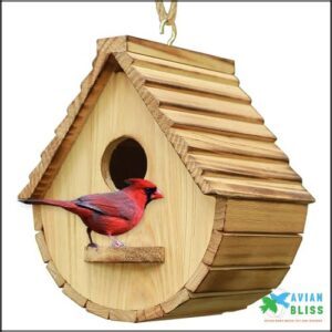 STARSWR Bird House for Outside,Bird