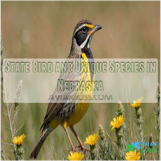 State Bird and Unique Species in Nebraska