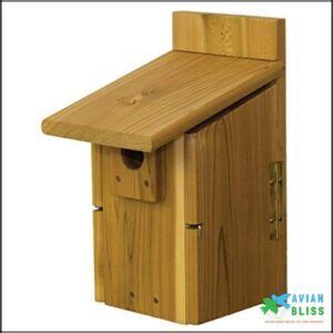 Stovall 2HUW Western Mountain Bluebird B002R59VWE