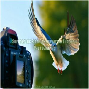 Supporting Bird Conservation Through Photography