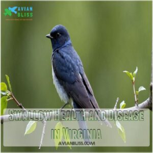 Swallow Health and Disease in Virginia