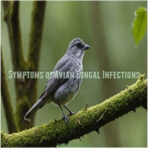 Symptoms of Avian Fungal Infections