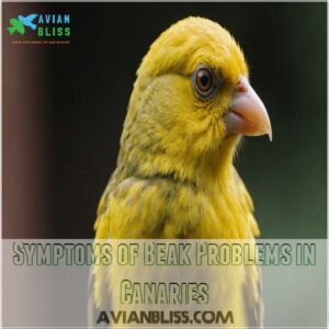 Symptoms of Beak Problems in Canaries