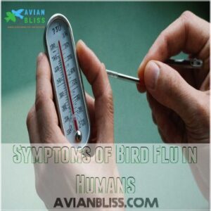 Symptoms of Bird Flu in Humans