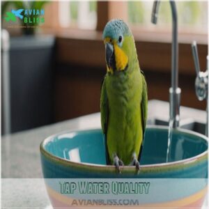 Tap Water Quality